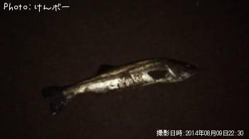 �����Х�