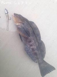 �����ʥ�