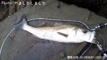 �����Х�