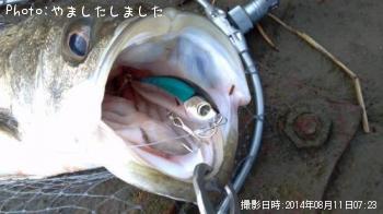 �����Х�