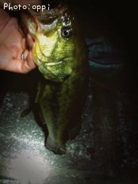 �֥�å��Х�