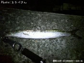 ���˥��ޥ�