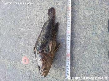 ¥¯¥í¥½¥¤¡©