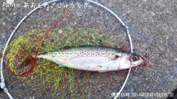 ���ޥ���