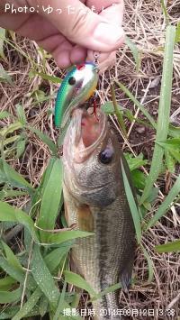 ¥Ö¥é¥Ã¥¯¥Ð¥¹