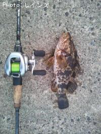 �����Υ���Х�