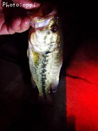 �֥�å��Х�