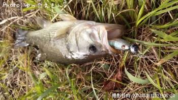 �֥�å��Х�