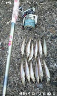 �ѡ���ԥ󥯤ε��ؿ�