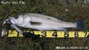 �����Х�