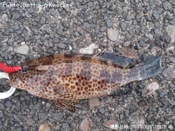 �������ϥ�