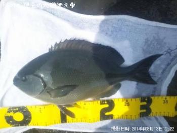 ��Ĺ�᥸��