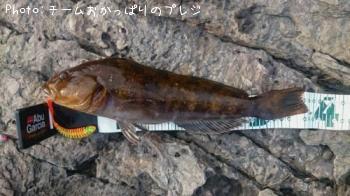 �����ʥ�