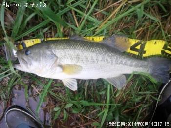 �֥�å��Х�