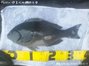 �����᥸��