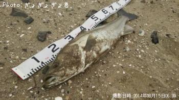 �����Х�