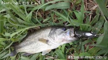 �֥�å��Х�