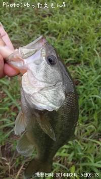 �֥�å��Х�