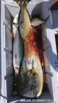 ��������ϥ��ĥ�������