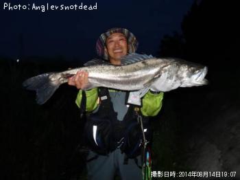 �����Х�