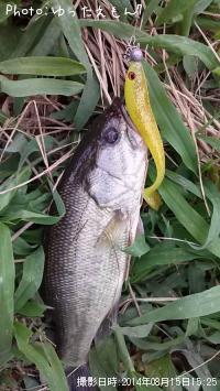 �֥�å��Х�