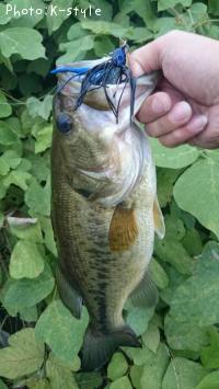 ¥Ö¥é¥Ã¥¯¥Ð¥¹