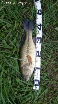 ¥Ö¥é¥Ã¥¯¥Ð¥¹