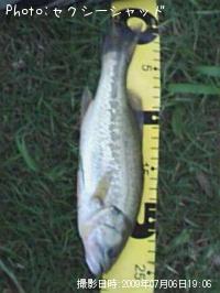 ¥Ö¥é¥Ã¥¯¥Ð¥¹