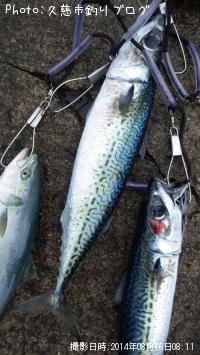 ���ޥ���