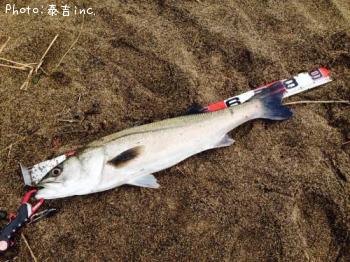 �����Х�