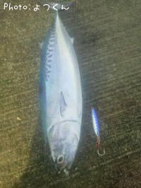 �ޥ륽����