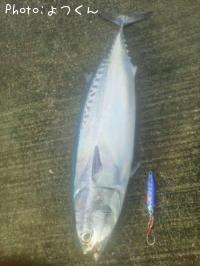 �ޥ륽����