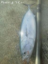 ¥Ò¥é¥½¥¦¥À