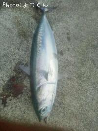 ¥Ò¥é¥½¥¦¥À