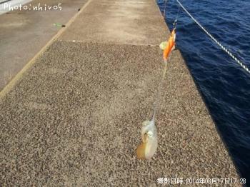 �����ꥤ��