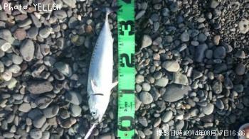 ���������ĥ�