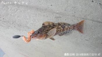 �����ʥ�