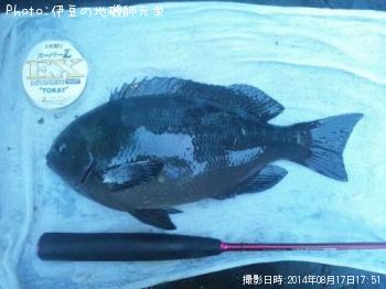 �����᥸��