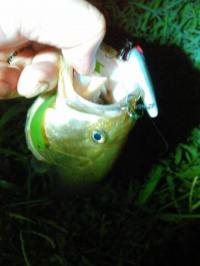 �֥�å��Х�