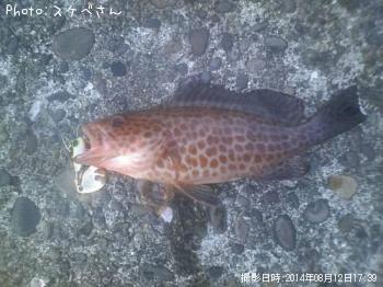 ¥ª¥ª¥â¥ó¥Ï¥¿