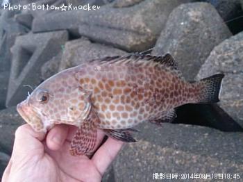 �������ϥ�