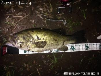 �֥�å��Х�