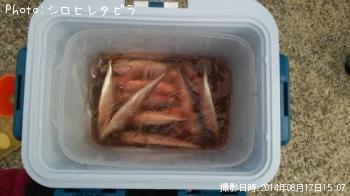 ¥Þ¥µ¥Ð