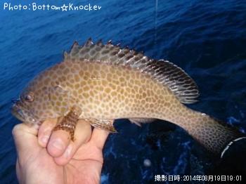 �������ϥ�