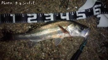 �����Х�