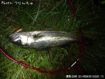 �����Х�