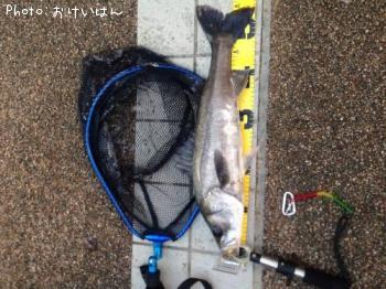 �����Х�