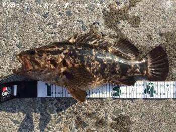 ¥¿¥±¥Î¥³¥á¥Ð¥ë