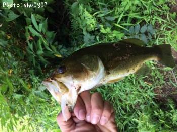 ¥Ö¥é¥Ã¥¯¥Ð¥¹