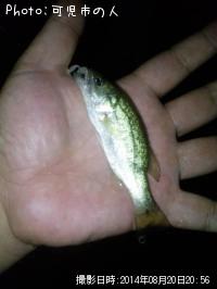 �֥�å��Х�